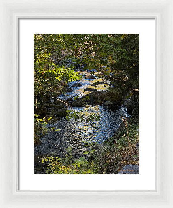 Creek  - Framed Print