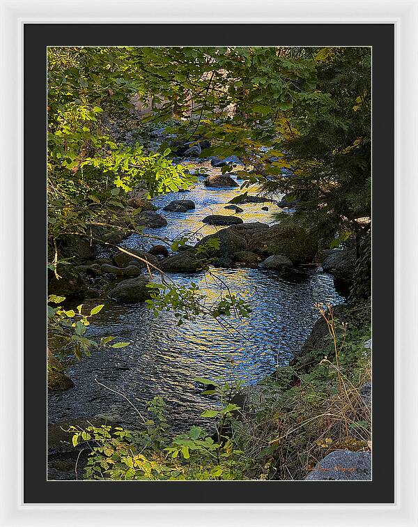 Creek  - Framed Print