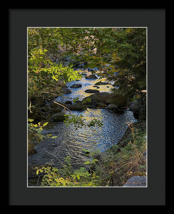 Creek  - Framed Print