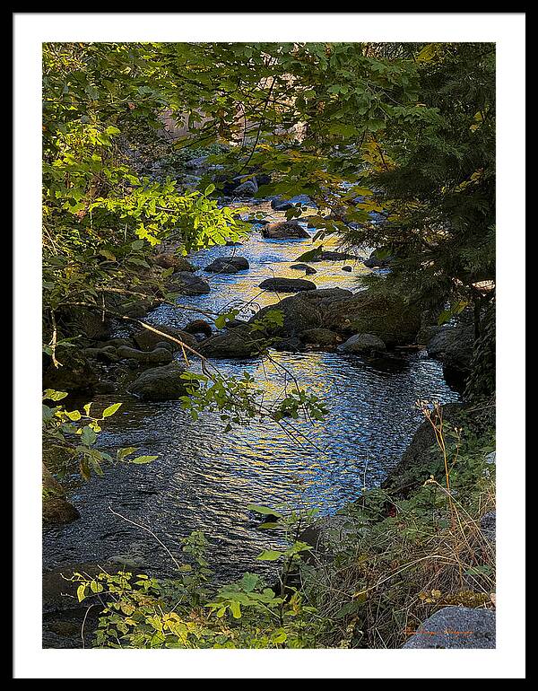 Creek  - Framed Print