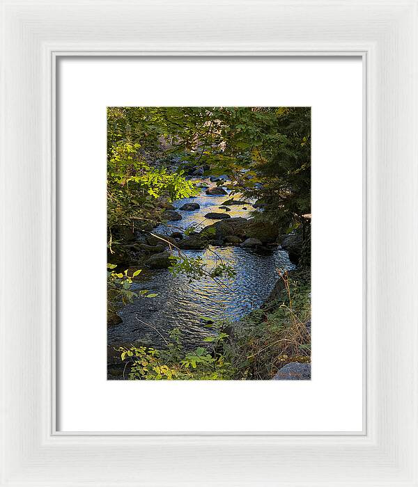 Creek  - Framed Print
