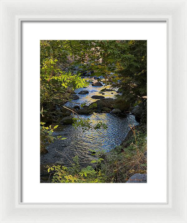 Creek  - Framed Print