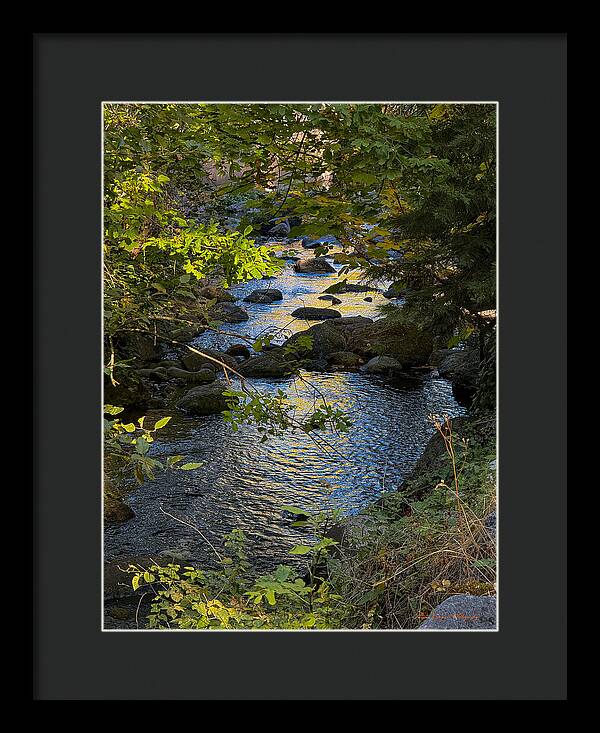 Creek  - Framed Print