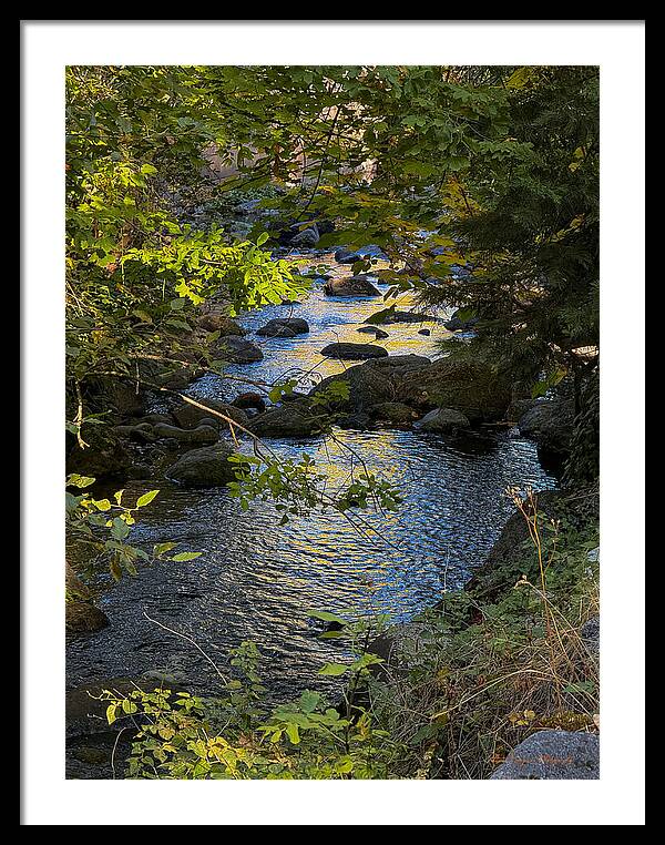 Creek  - Framed Print