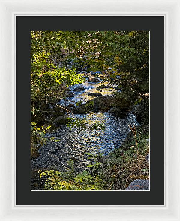 Creek  - Framed Print