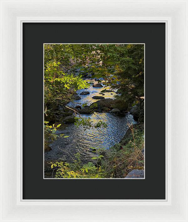 Creek  - Framed Print