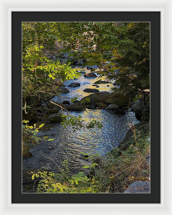 Creek  - Framed Print