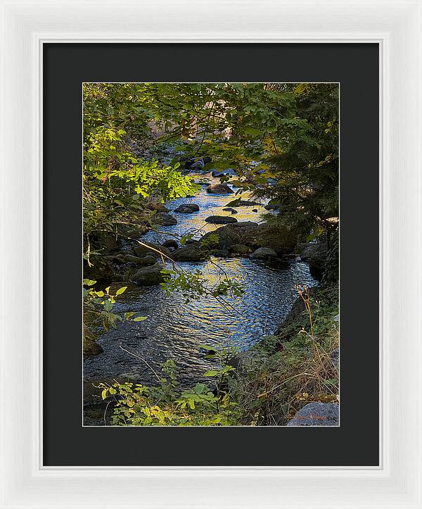 Creek  - Framed Print