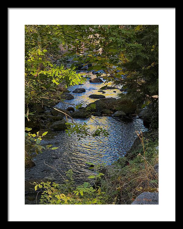 Creek  - Framed Print