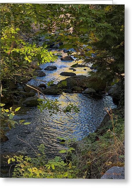 Creek  - Greeting Card