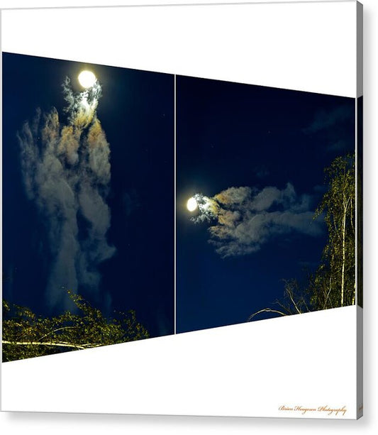 Different views  - Acrylic Print