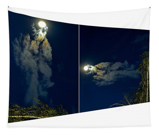 Different views  - Tapestry
