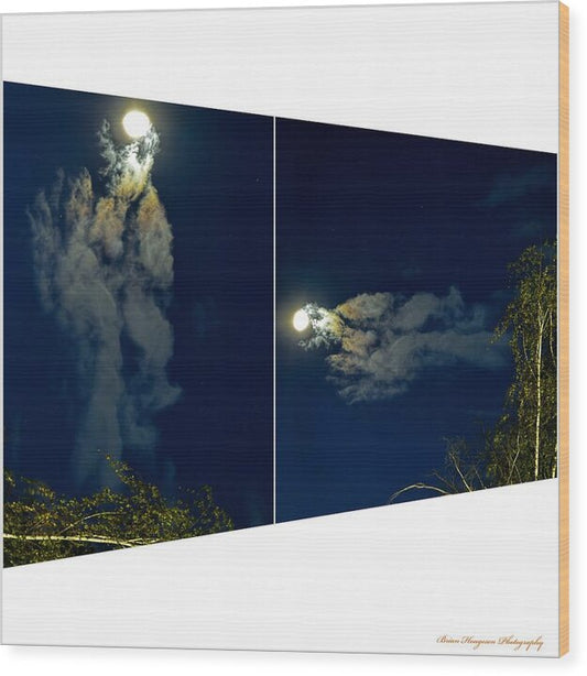 Different views  - Wood Print