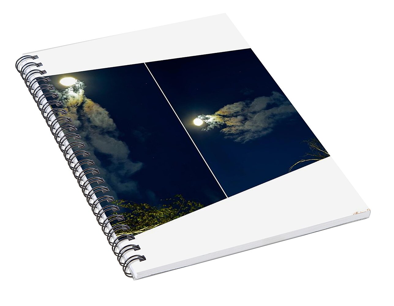 Different views  - Spiral Notebook