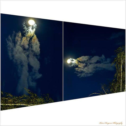 Different views  - Art Print
