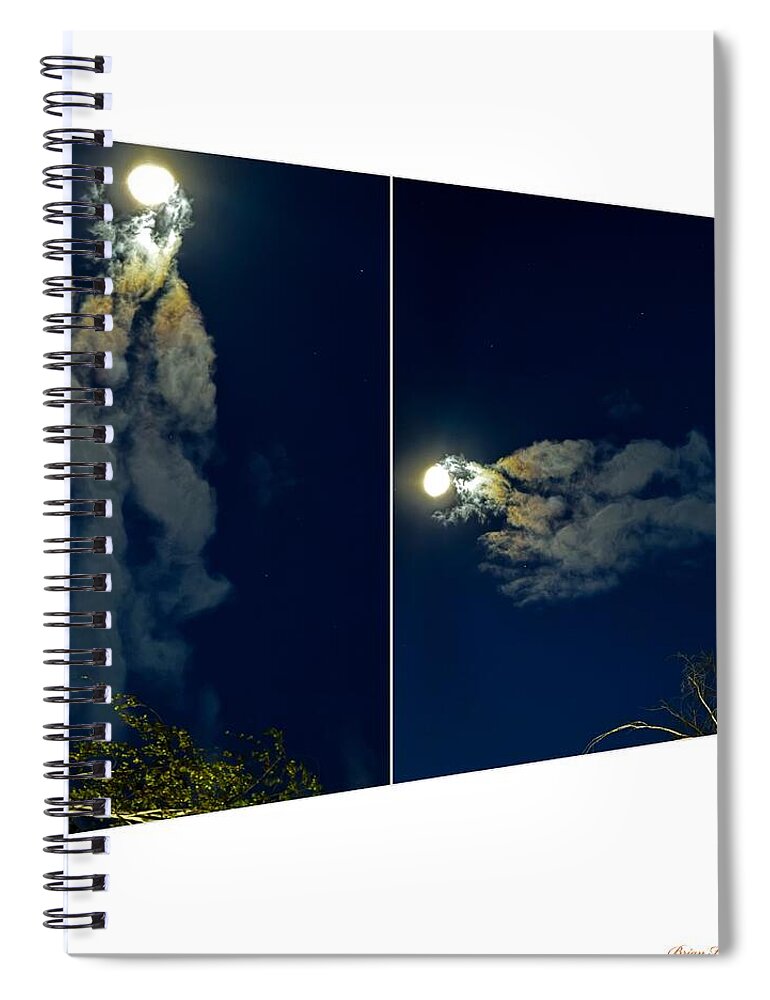 Different views  - Spiral Notebook