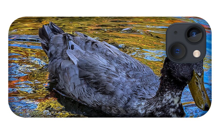 Duck in the pond  - Phone Case