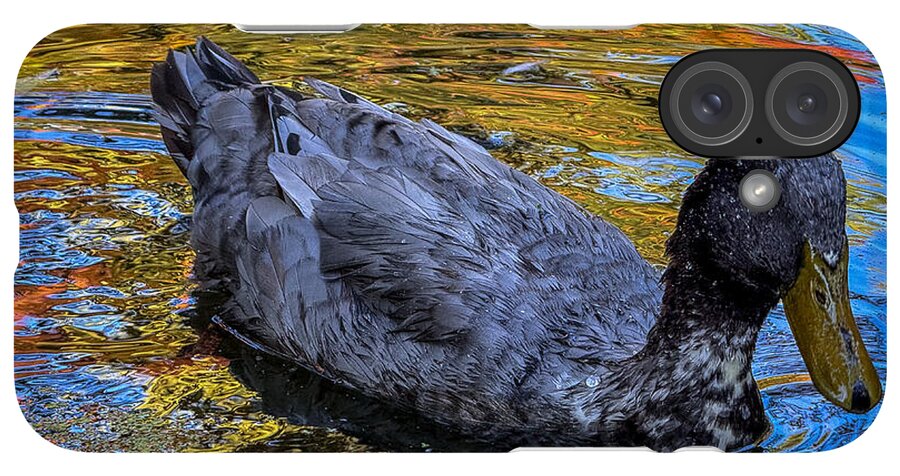 Duck in the pond  - Phone Case