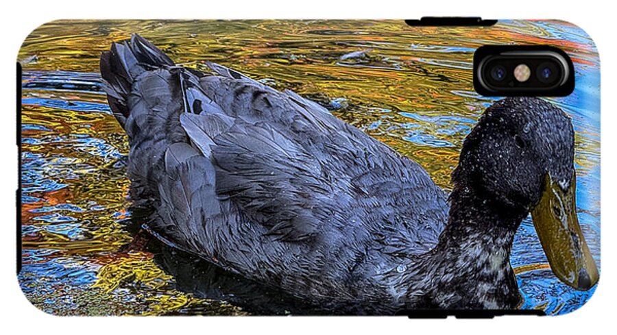 Duck in the pond  - Phone Case