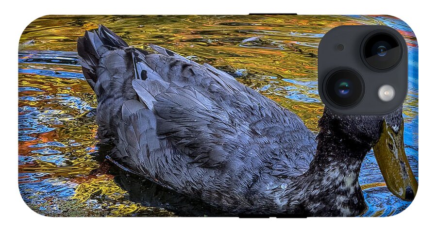 Duck in the pond  - Phone Case