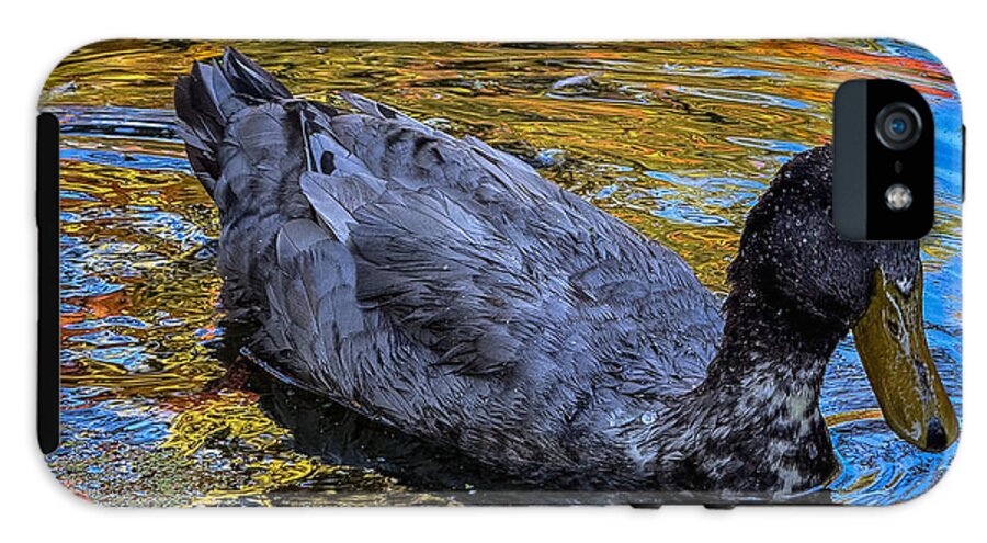 Duck in the pond  - Phone Case