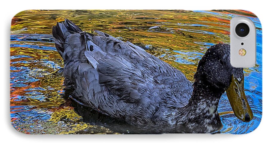 Duck in the pond  - Phone Case
