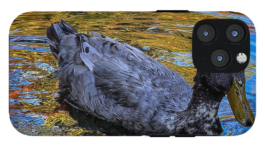Duck in the pond  - Phone Case