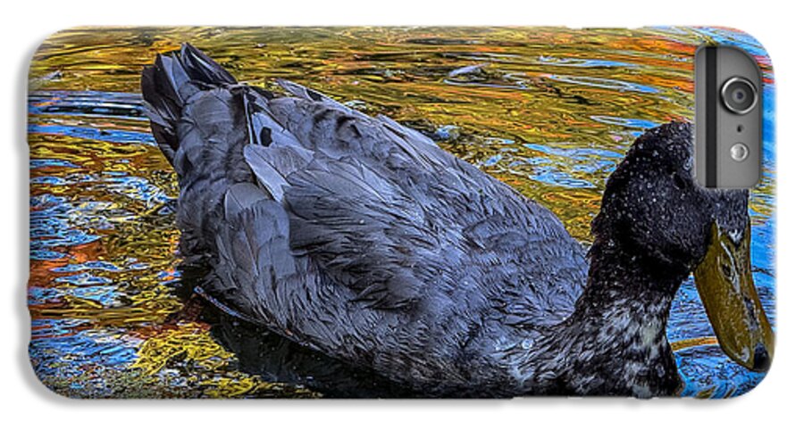 Duck in the pond  - Phone Case