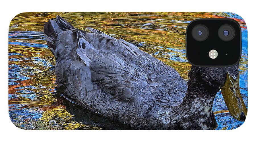 Duck in the pond  - Phone Case