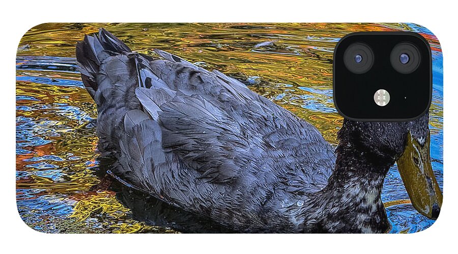 Duck in the pond  - Phone Case