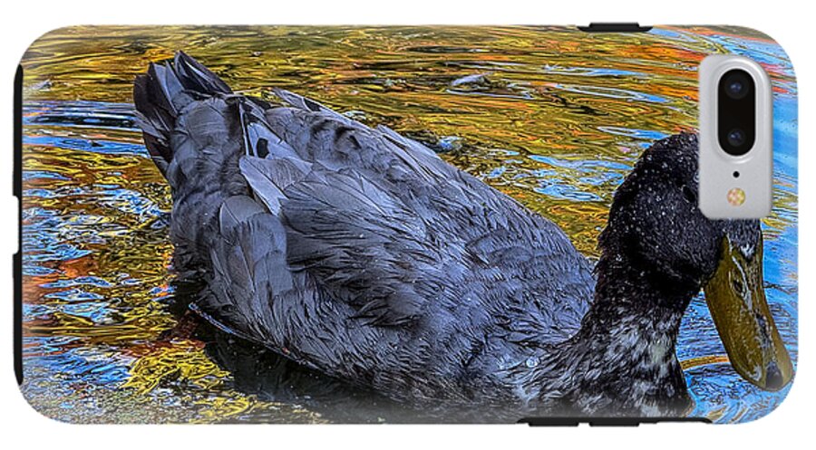 Duck in the pond  - Phone Case