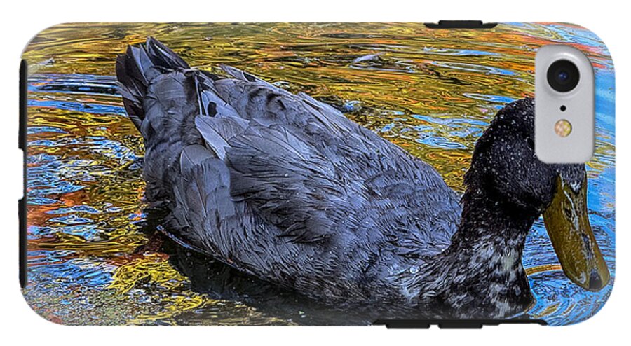 Duck in the pond  - Phone Case