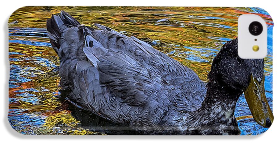 Duck in the pond  - Phone Case