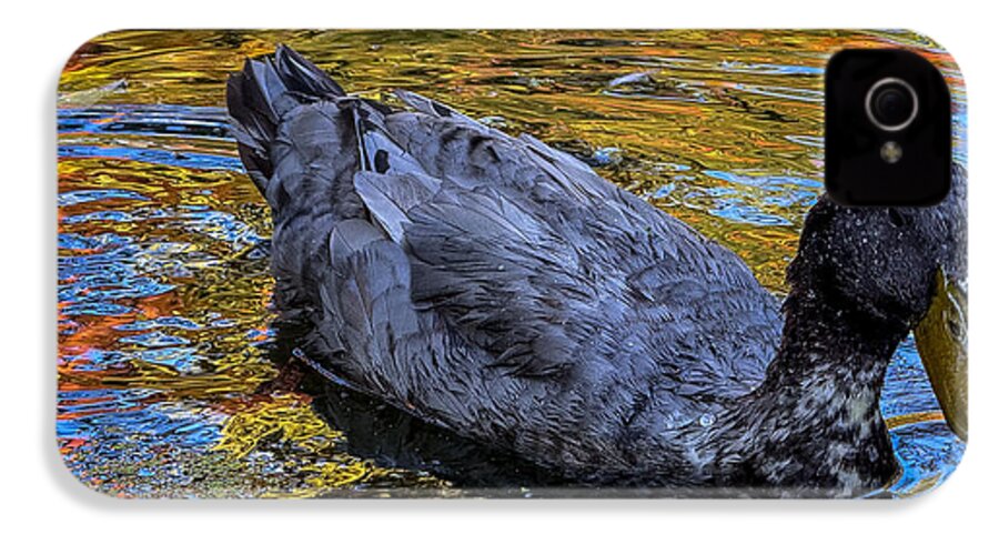 Duck in the pond  - Phone Case