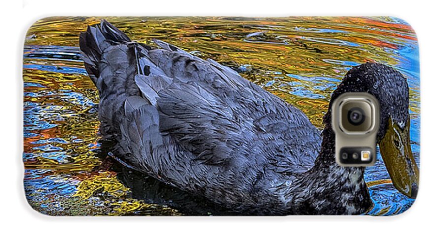 Duck in the pond  - Phone Case