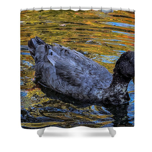 Duck in the pond  - Shower Curtain