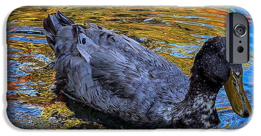 Duck in the pond  - Phone Case