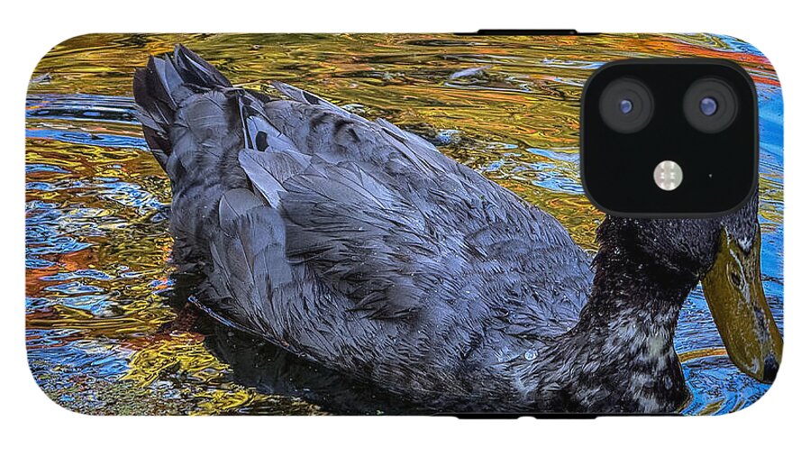 Duck in the pond  - Phone Case