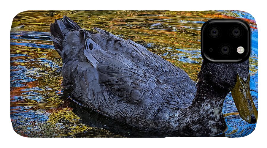 Duck in the pond  - Phone Case