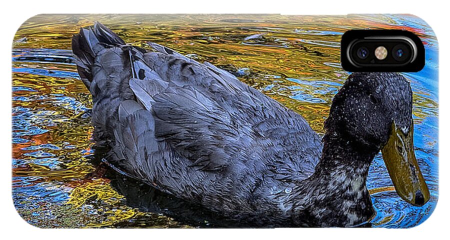 Duck in the pond  - Phone Case