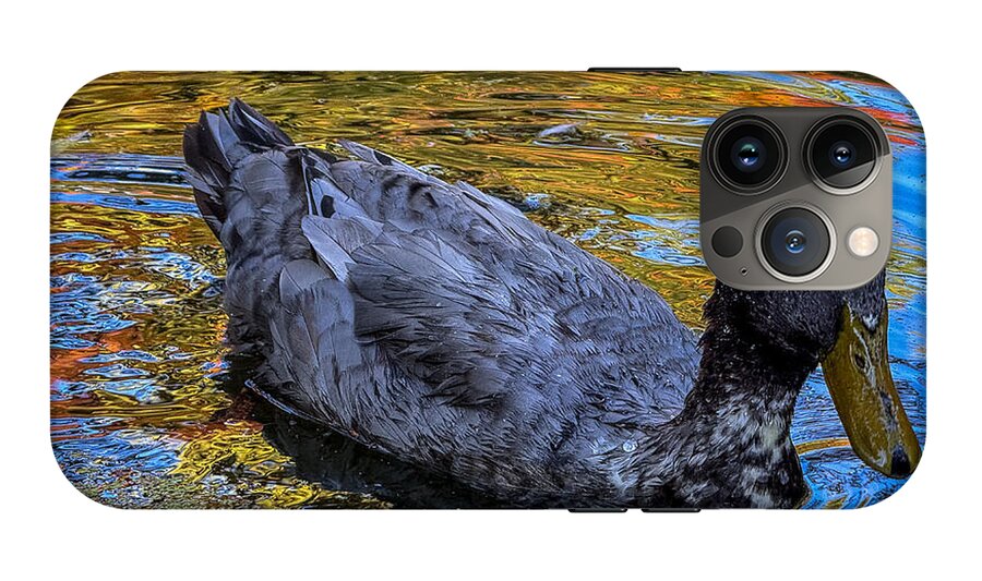 Duck in the pond  - Phone Case