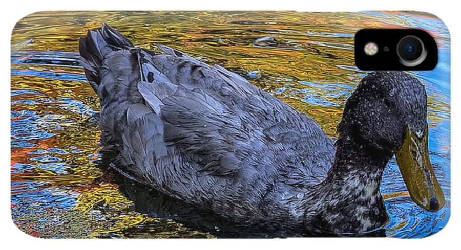 Duck in the pond  - Phone Case