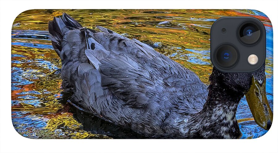 Duck in the pond  - Phone Case