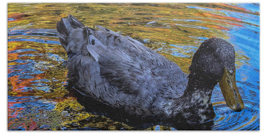Duck in the pond  - Beach Towel