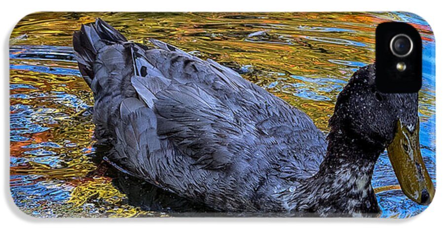 Duck in the pond  - Phone Case