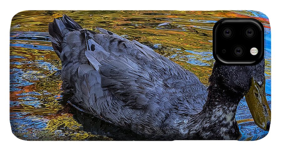 Duck in the pond  - Phone Case