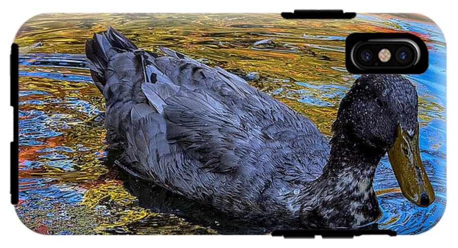 Duck in the pond  - Phone Case