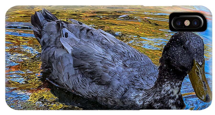 Duck in the pond  - Phone Case