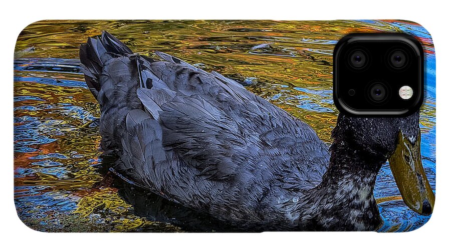 Duck in the pond  - Phone Case