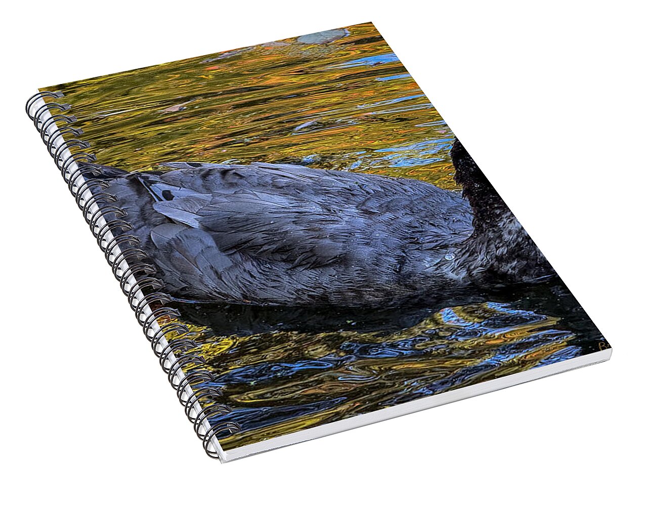 Duck in the pond  - Spiral Notebook
